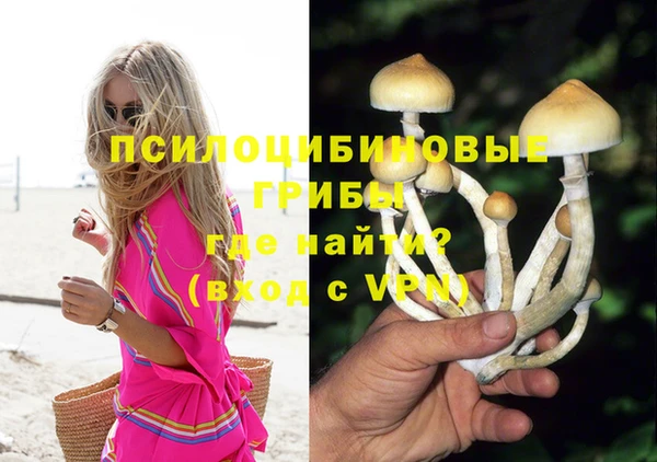 прущие крисы Алексеевка