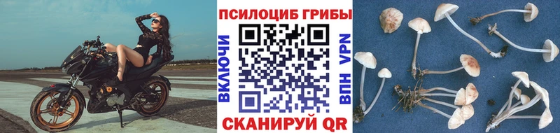 магазин продажи наркотиков  это состав  Псилоцибиновые грибы GOLDEN TEACHER  Коркино 