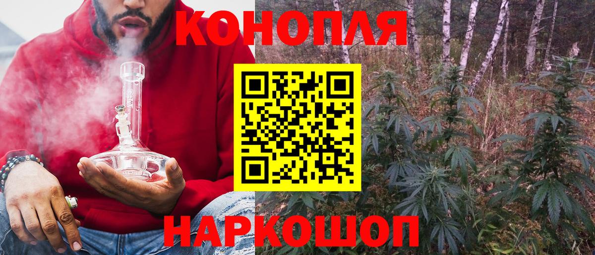 Каннабис ГИДРОПОН Коркино